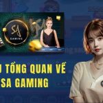 Giới thiệu tổng quan về sảnh Sa Gaming